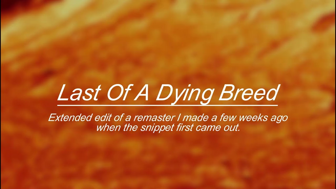 Joji - Last Of A Dying Breed (EXTENDED SNIPPET REMASTER)