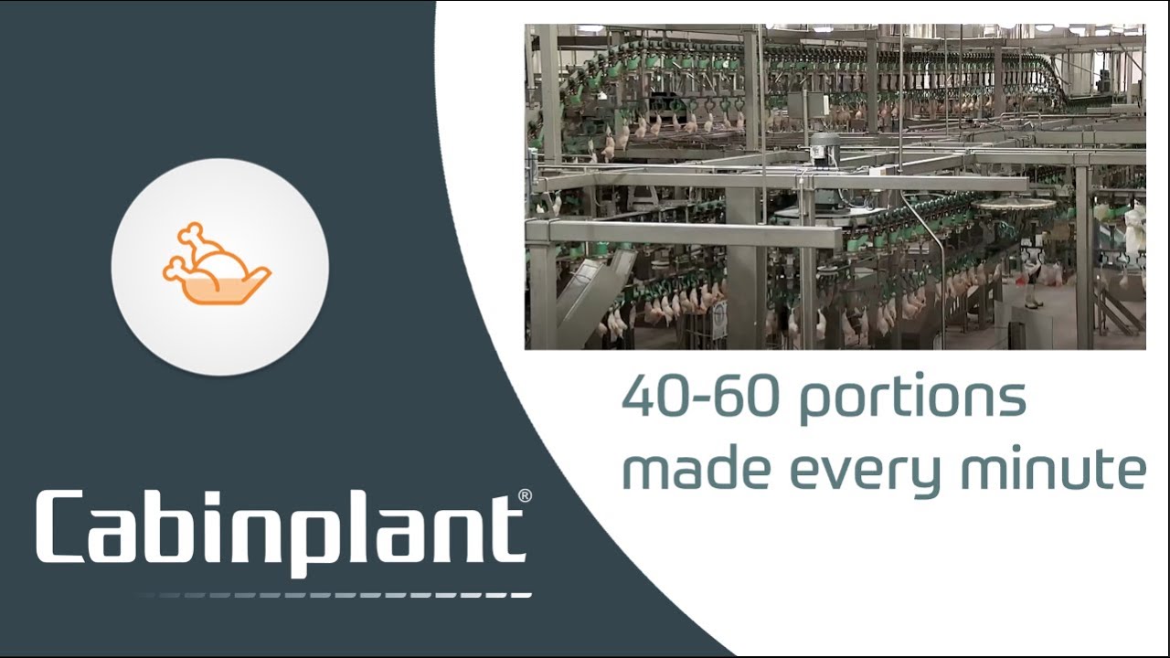 Cabinplant Packing Line for Chicken Leg Quarters