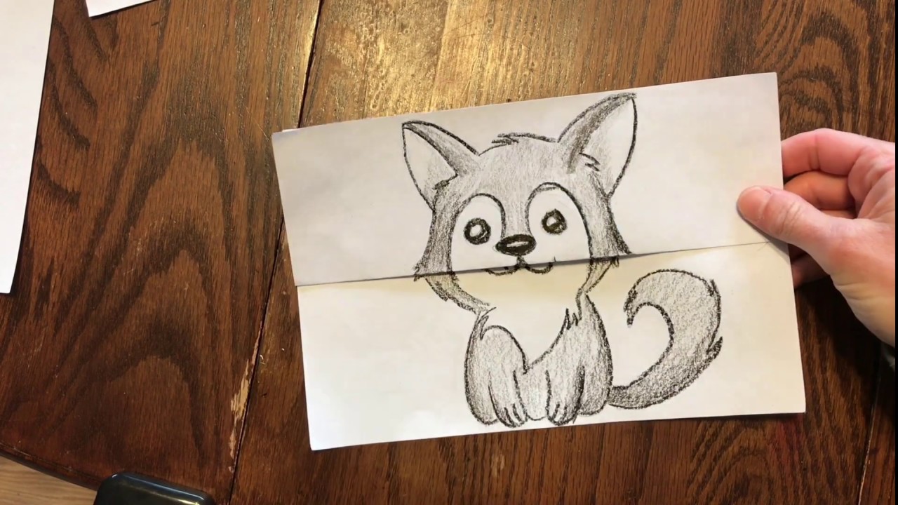 Surprise Drawing- Wolf Pup