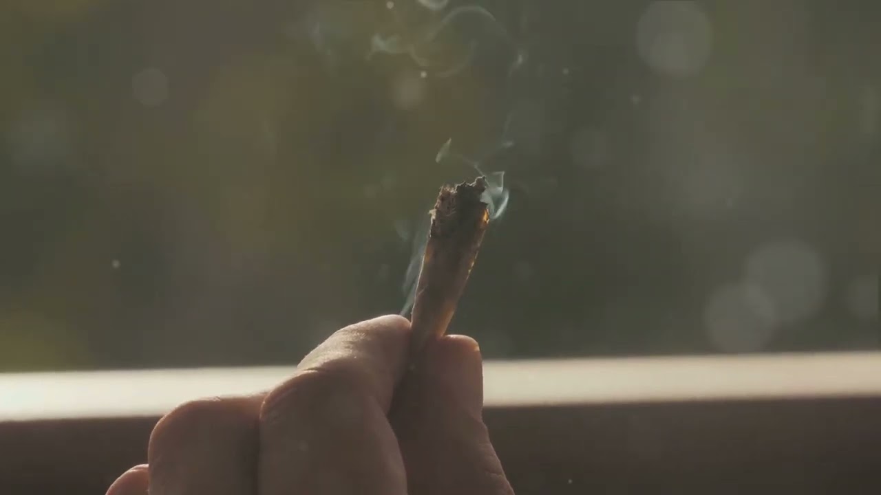 High History: The Cannabis Chronicles in America