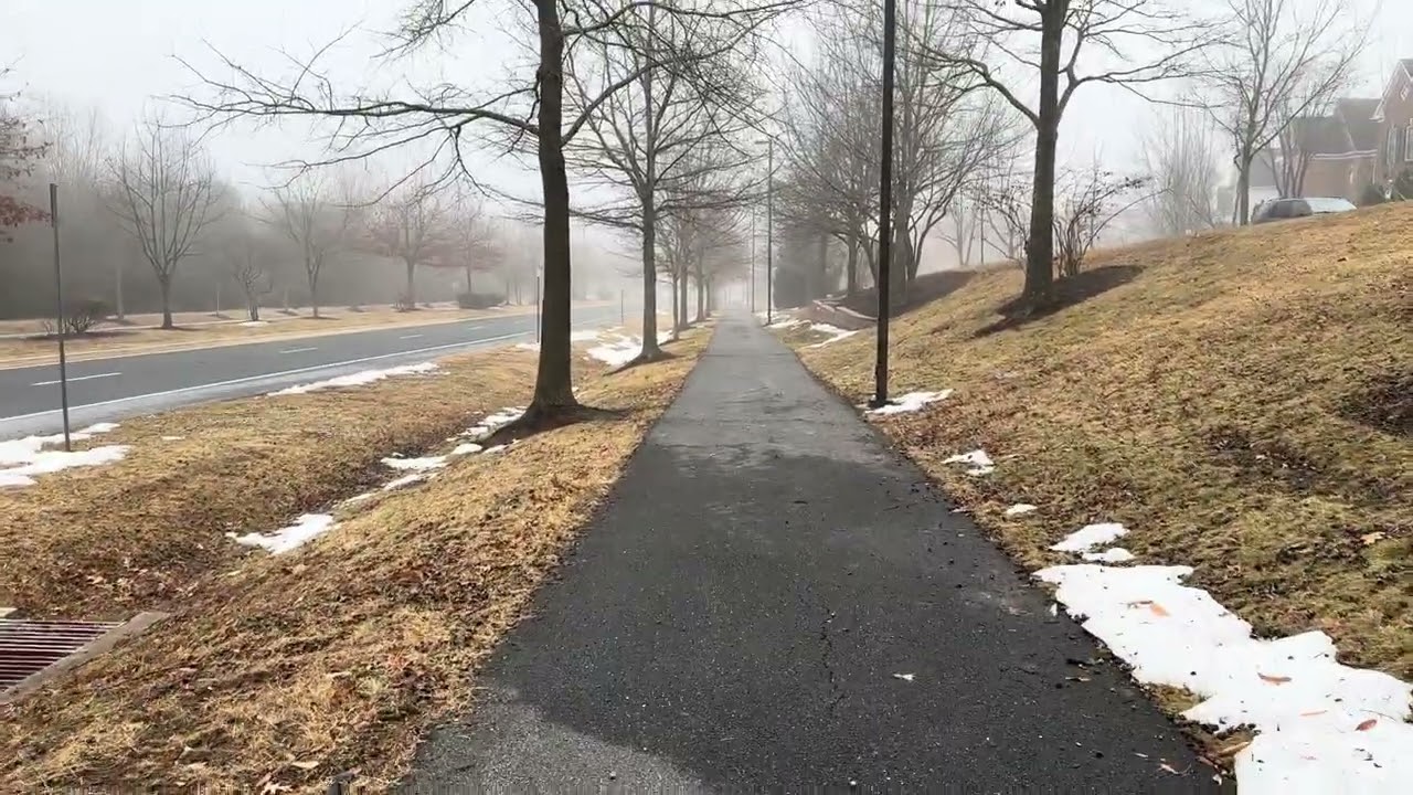 🌫️ foggy day