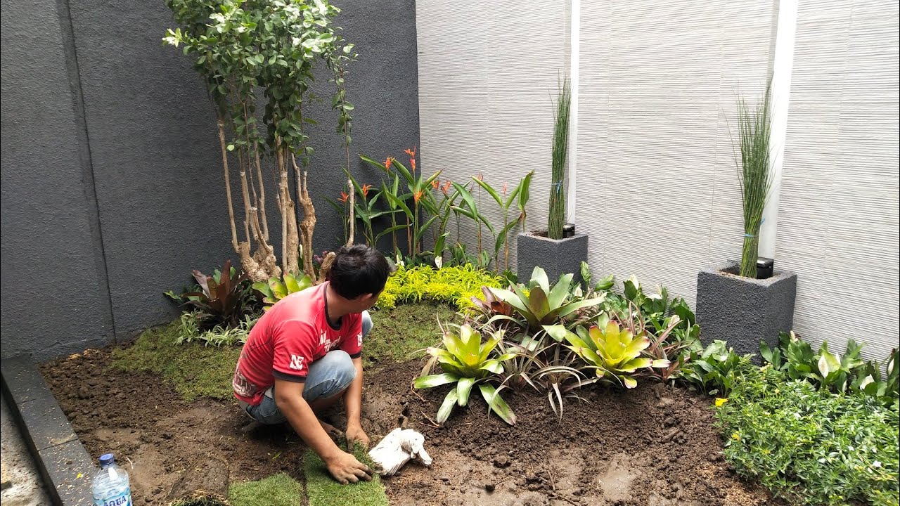 Membuat taman minimalis di belakang rumah, Hasilnya Imut Banget😍