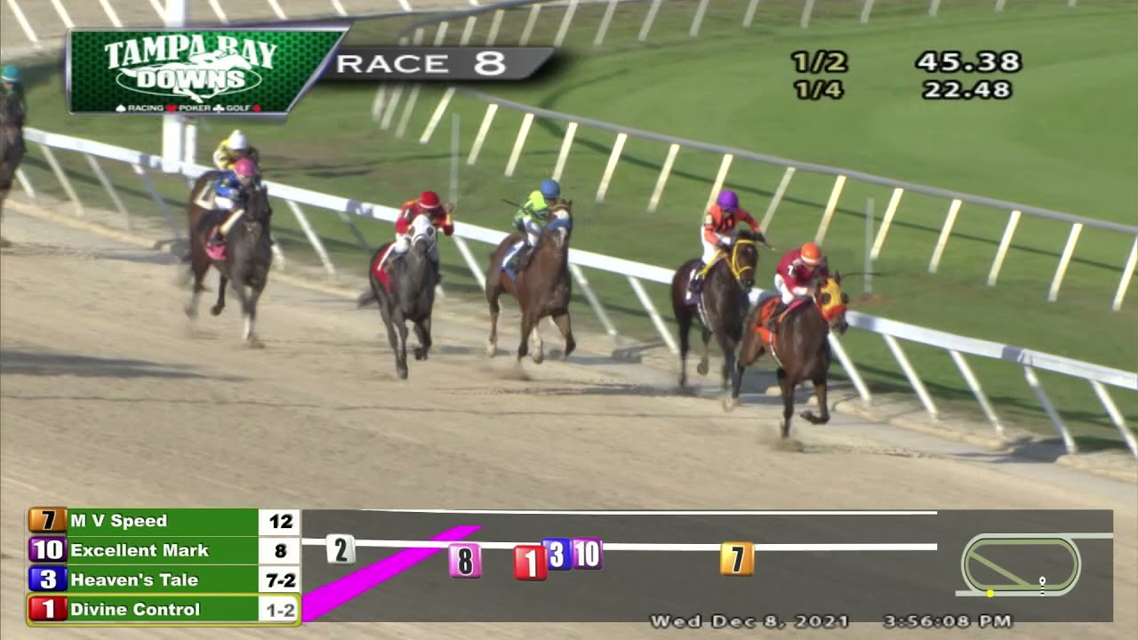 December 8, 2021: Race 8