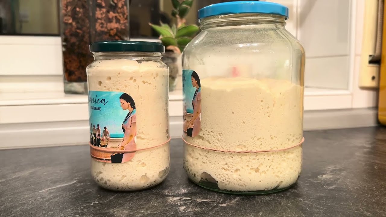 Auffrischung lievito madre / Sauerteig / Rinfresco @BACKENMITDOME 