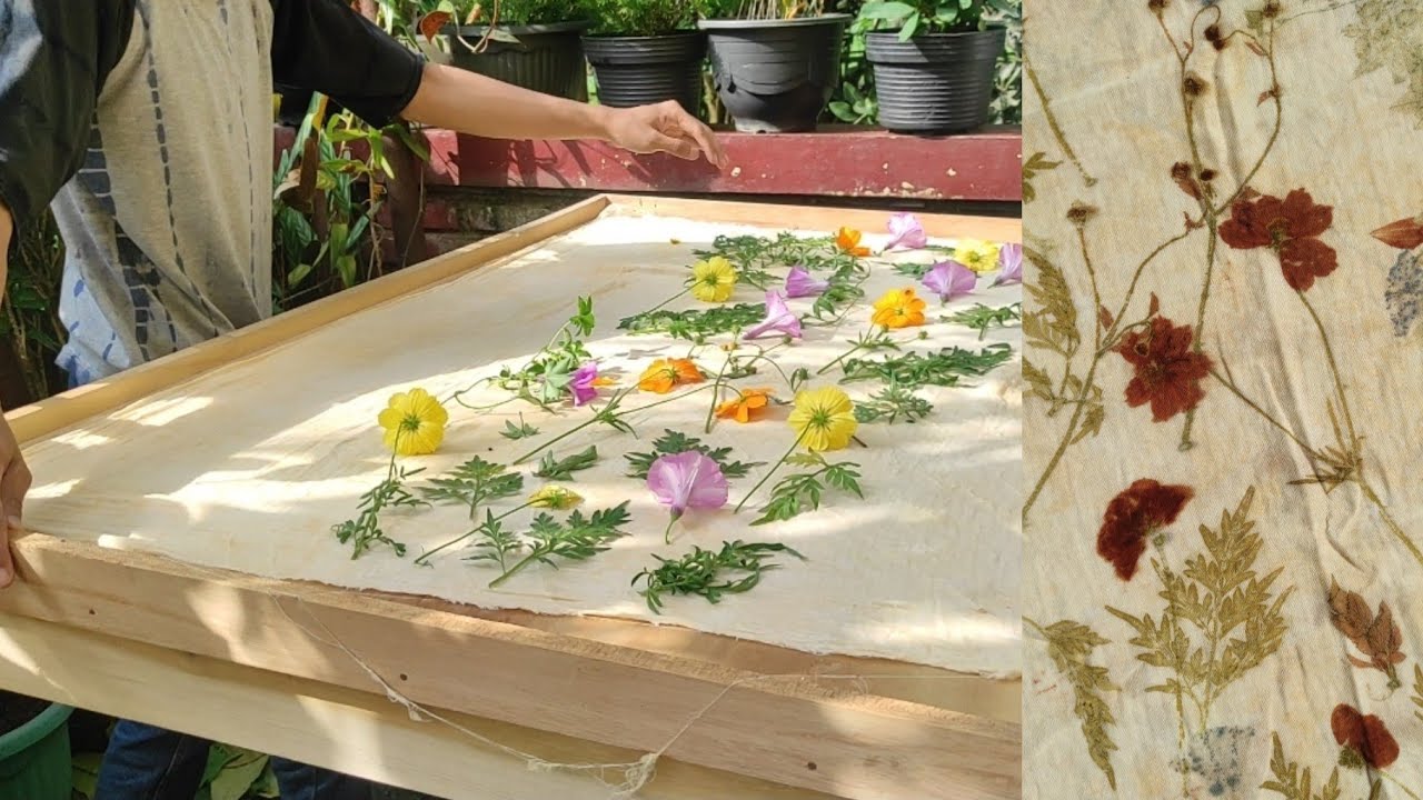 Учебное пособие по экопечати с полевыми цветами 🌿🌻🌼
