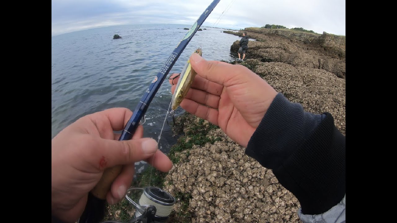 Pêche du bar en SURFACE! Septembre 2024.