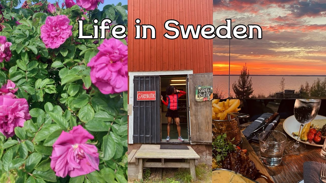 Living in Sweden Is Expensive: How To Live Well in 🇸🇪| Suburban Grocery Run | Cost of Living #sweden