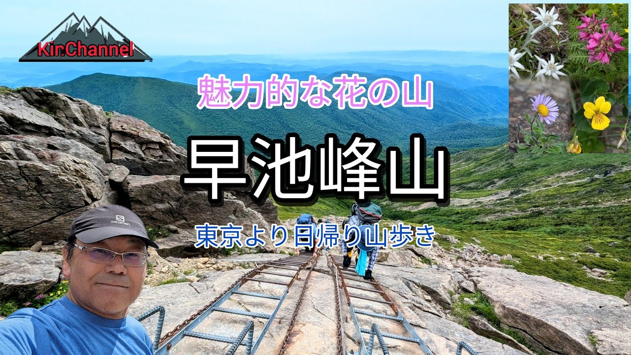 【早池峰山】ハヤチネウスユキソウ満開ベストシーズン