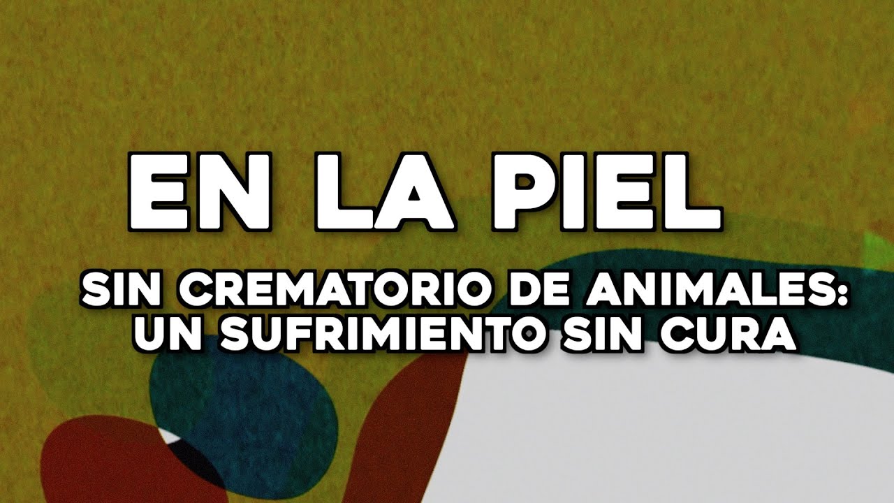 En la Piel | Sin crematorio de animales: un sufrimiento sin cura