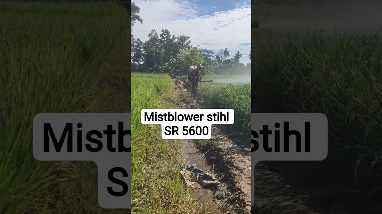 mesin semprot 2tak mistblower stihl SR 5600 #engine #2tak #spra #stihl #mistblower #dekta #hama #sky
