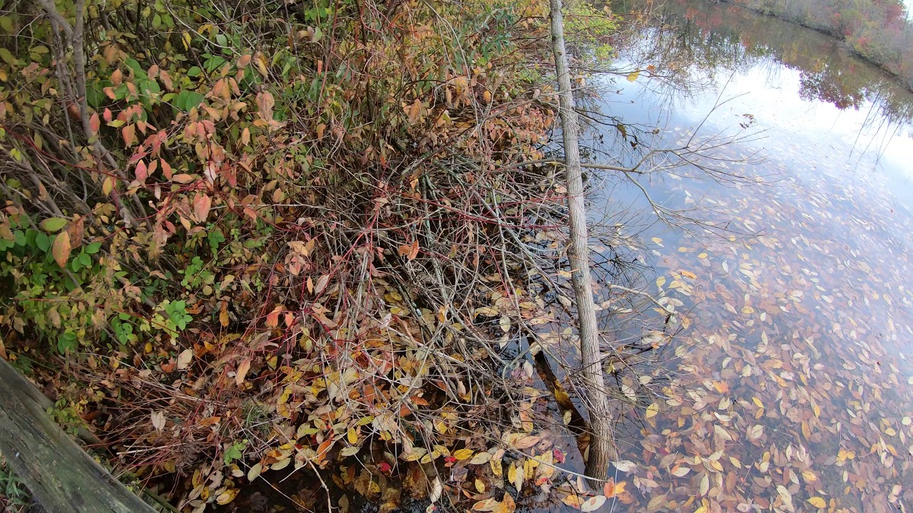 Montezuma National Wildlife Refuge Trail