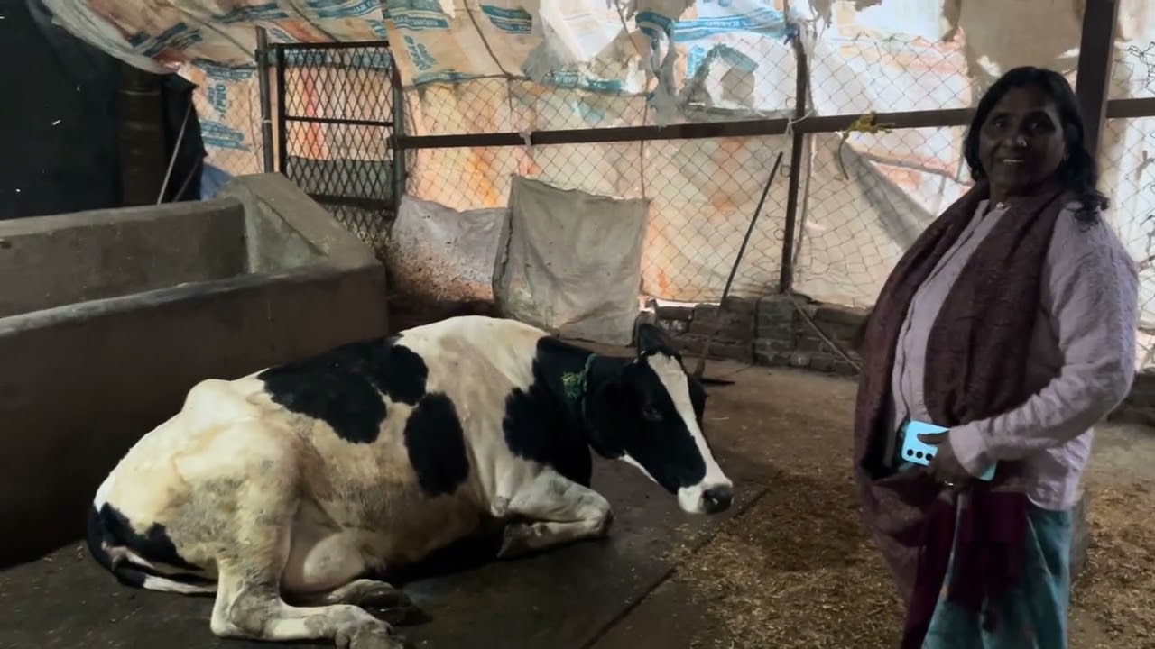 Visit in a farm 🐄 