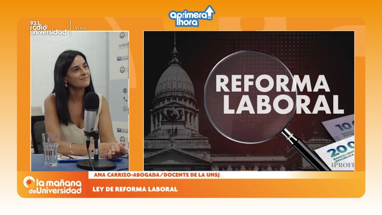 Ana Carrizo analizó el impacto de la reforma laboral