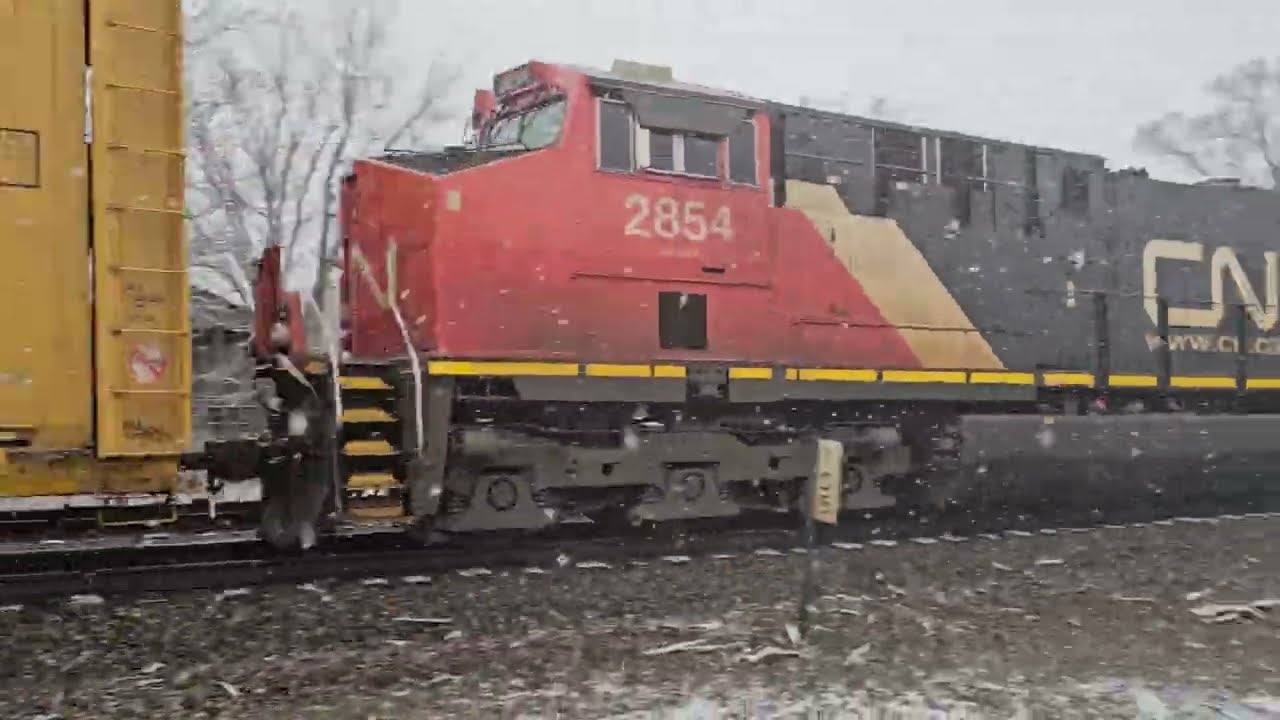 CN 301 ❄️ Squall