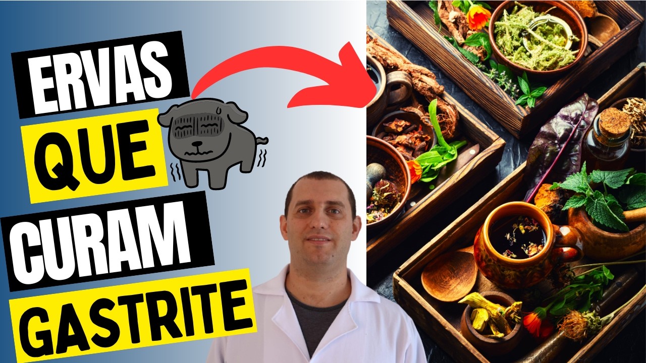 4 ervas que tratam gastrite em cães