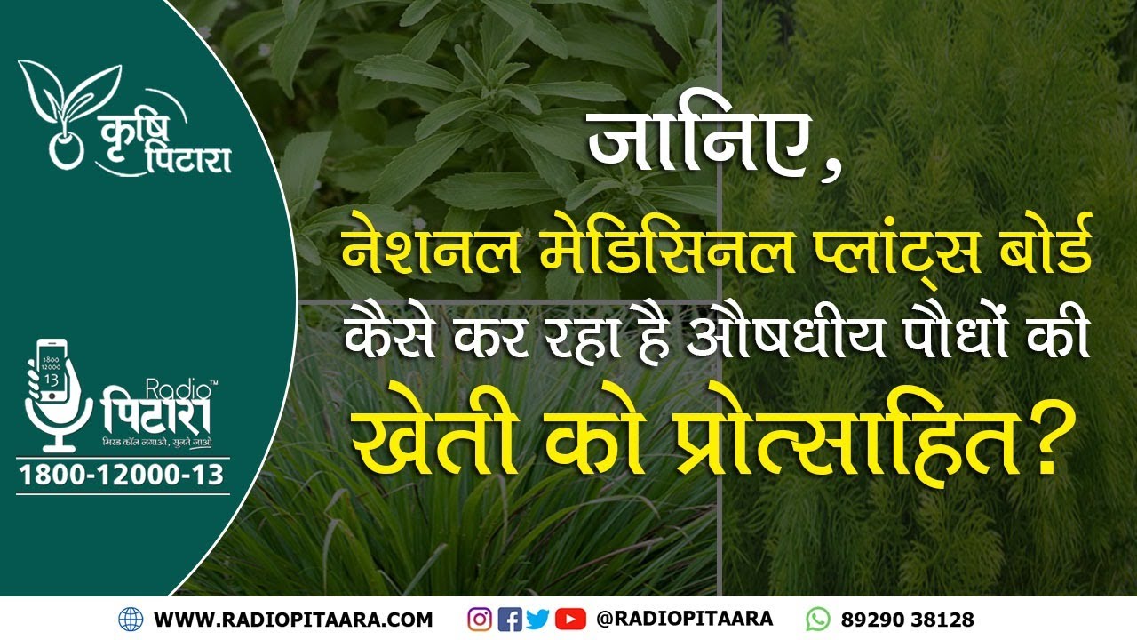 Medicinal Plants Farming | Ministry of Ayush | National Medicinal Plants Board | औषधीय पौधे | मुनाफा