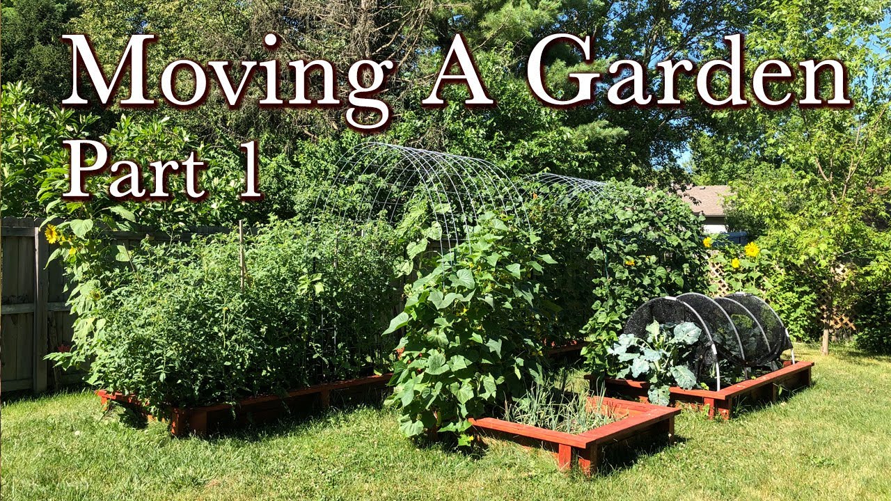 Moving a Garden Part 1 - Moving Raised Garden Beds to the New House