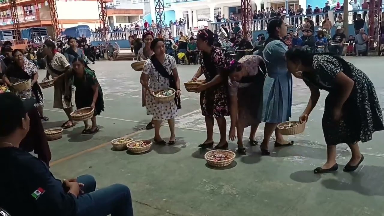 Hermosas costumbres y tradiciones en Santiago Zacatepec Mixes Oaxaca 2024 #santiagozacatepec