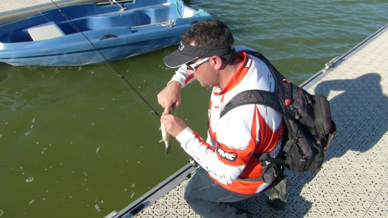 La peche des carnassiers aux leurres dans les obstacles en HD