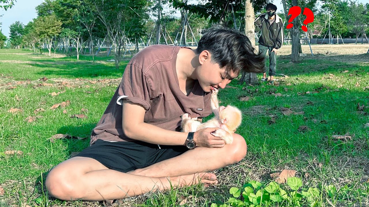 (Full video) Monkey Baby Molly gets into danger when Dad looks away for a moment