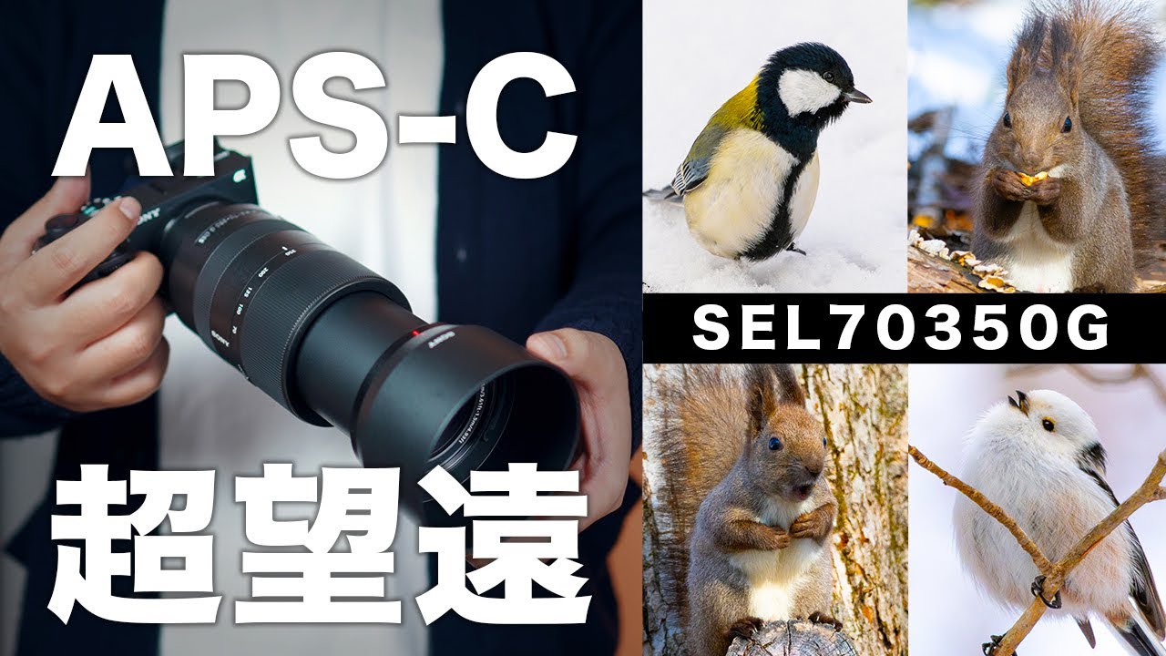 【これがベスト】超望遠ズームレンズ『SEL70350G』をレビュー！SONYα6700との作例も