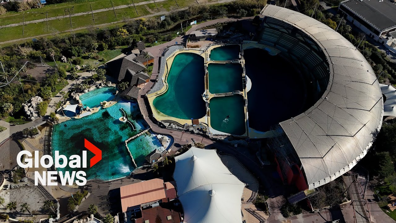 More whale deaths at Marineland trigger demands for government involvement