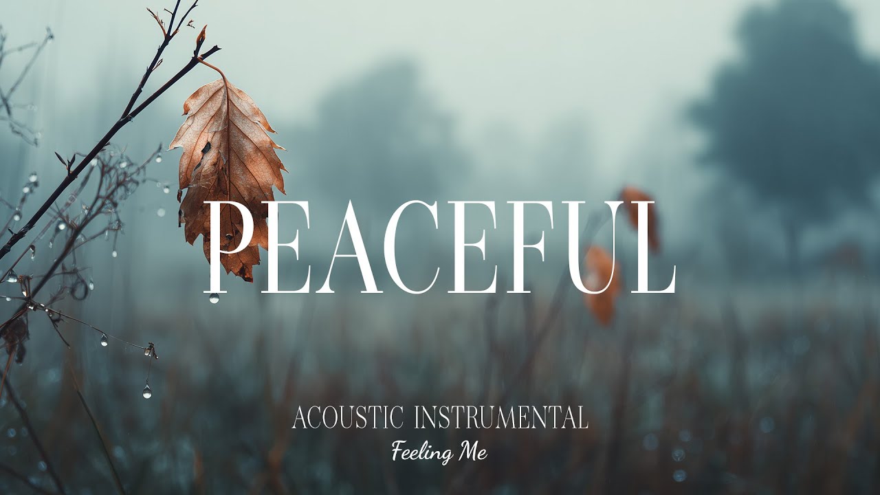 Stress ~ Free Guitar Melodies for Relaxation and Productivity | FEELING ME