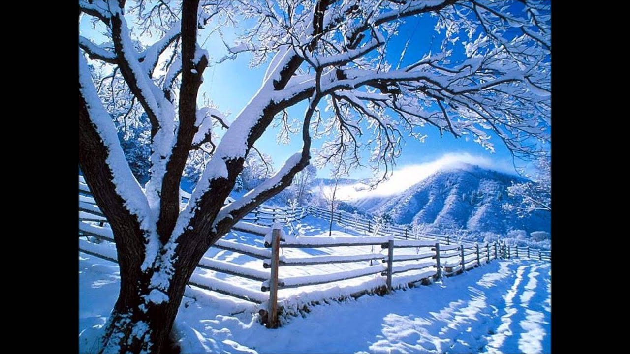 Anne Murray ~ Snowbird (1970)
