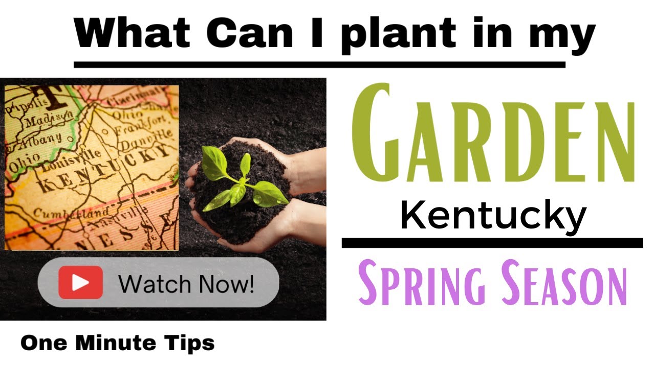 One Minute Tips - Garden - Kentucky -What can I Plant in my Garden for Spring Season!