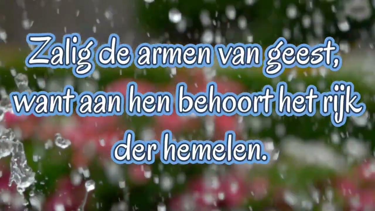 Psalm 146-4e zondag door het jaar A