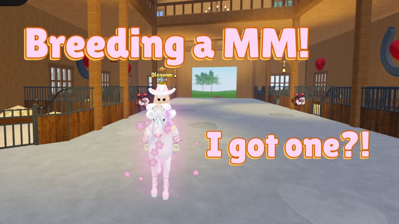 Trying to Breed a MM! *SUCCESSFUL￼*