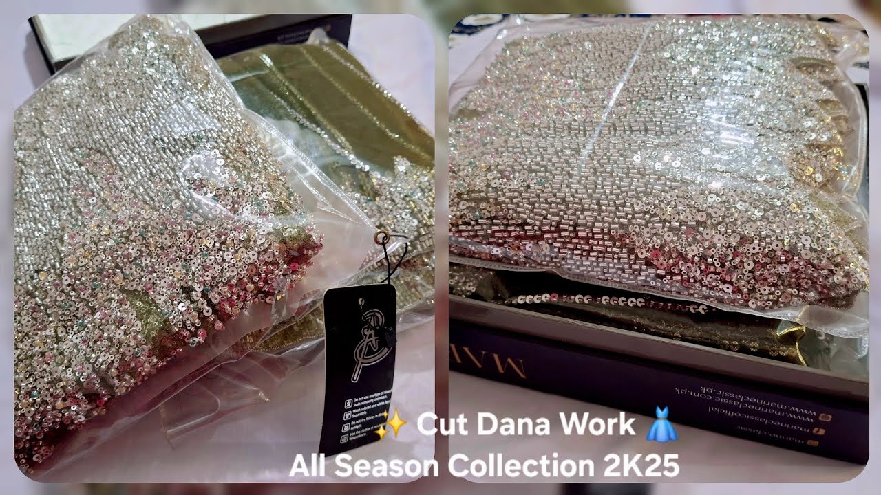 Cut Dana Work on Net Fabric ✨ All Season Collection 2K25 | RD Luxury Brand Official