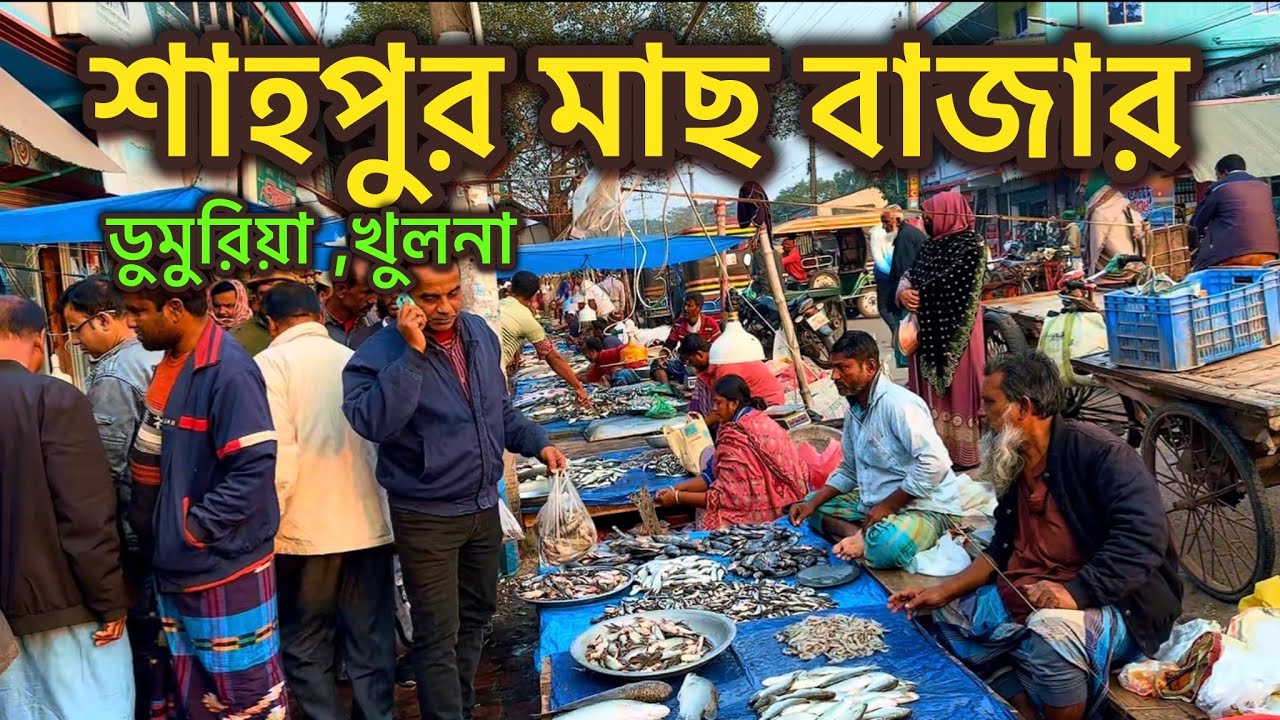 এই সপ্তাহের শাহপুর হাটের বিভিন্ন জাতের মাছের দরদাম ।।  #Fish_market #fishing #fishvideo 
