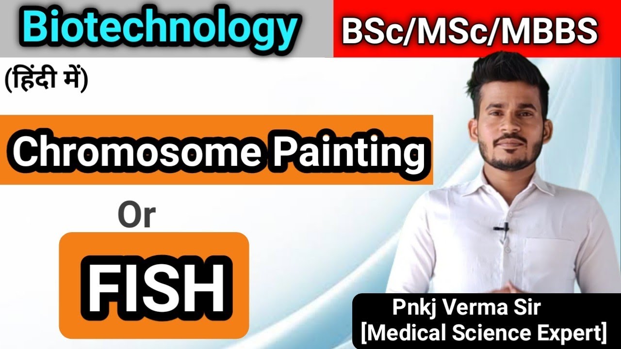 Chromosome painting - FISH technique