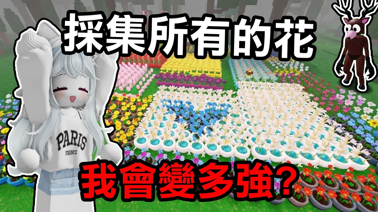 【蹦蹦頭】把地圖上所有的花都帶回家！每種不同的花都有不同效果！？【99 Nights in the Forest】