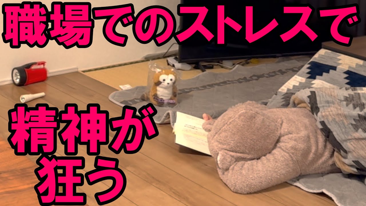 【50代独身女性】もうどうでもいいと思った時の逃げ道とストレス発散ルーティーン・秒速で終わる癒しと永遠に続くストレス