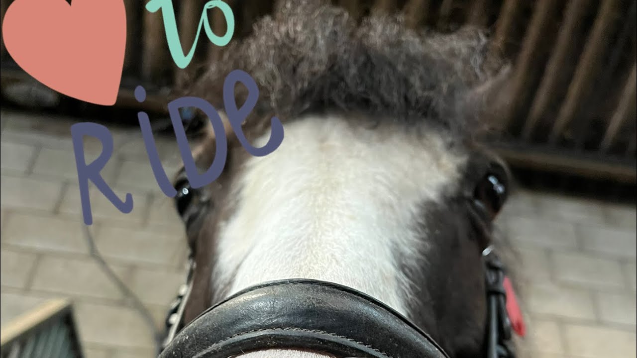 Vlog van de manege ☺️(vlog 4)