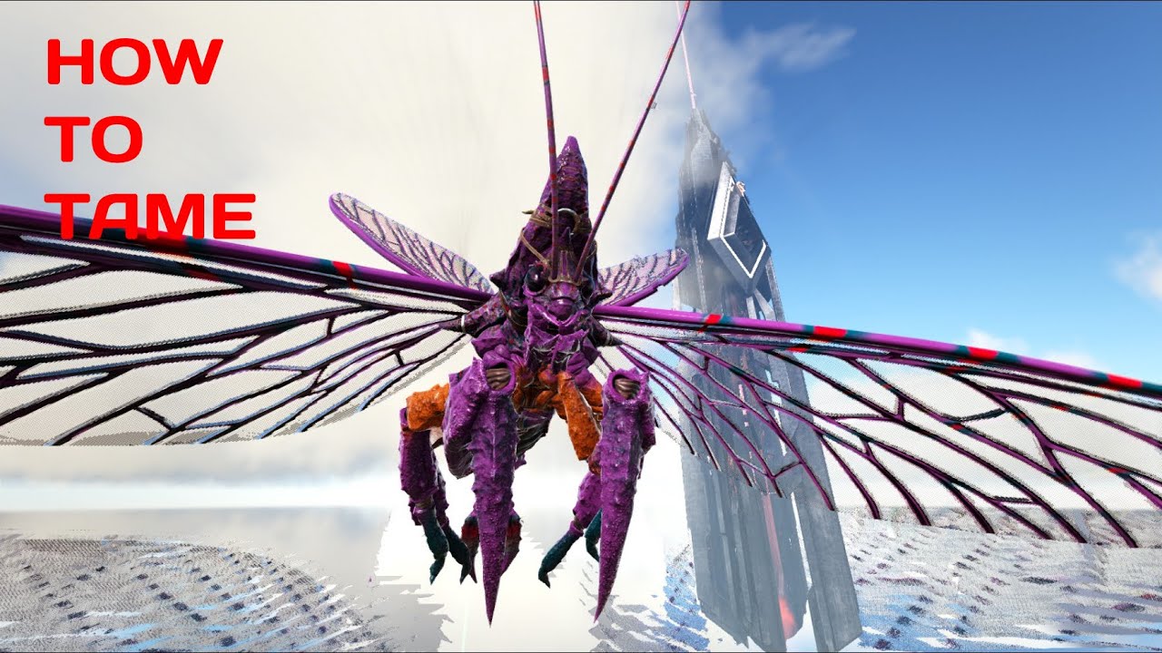 How to tame the NEW OP RHYNIOGNATHA