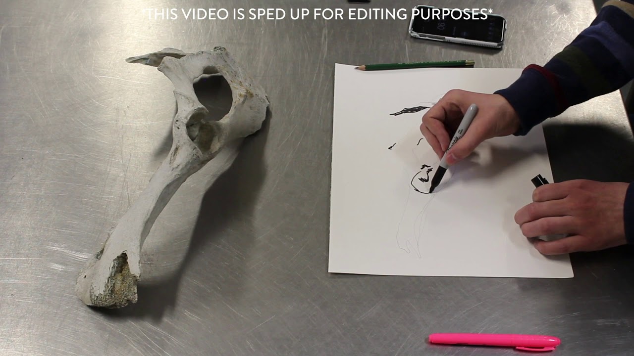Claim Your Creativity Challenge | Mixed Media Drawing | Day 4