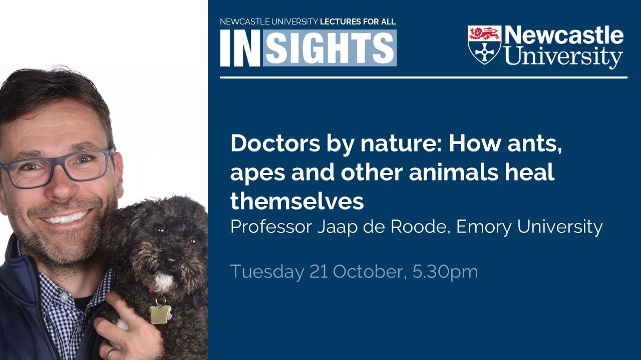 Doctors by nature: How ants, apes and other animals heal themselves by Professor Jaap de Roode