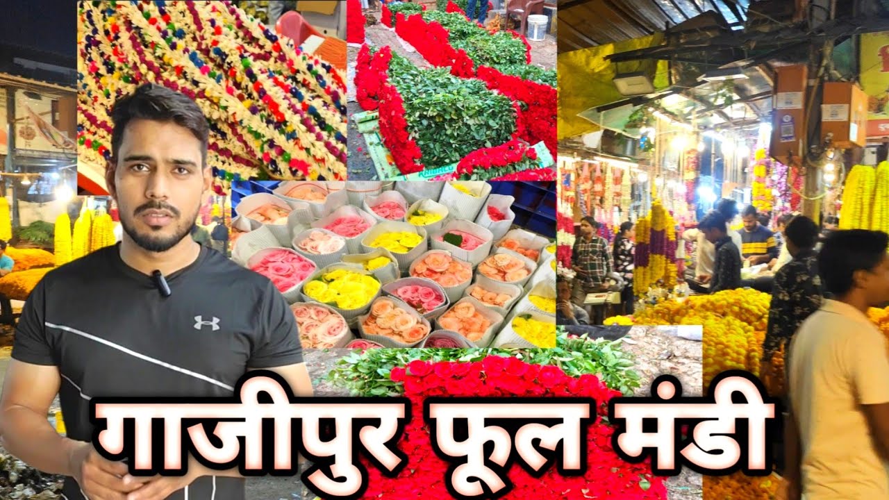 भारत की सबसे बड़ी फूल मंडी | गाजीपुर फूल मंडी | Indias biggest flower 🌹🌺 market in delhi #flowers