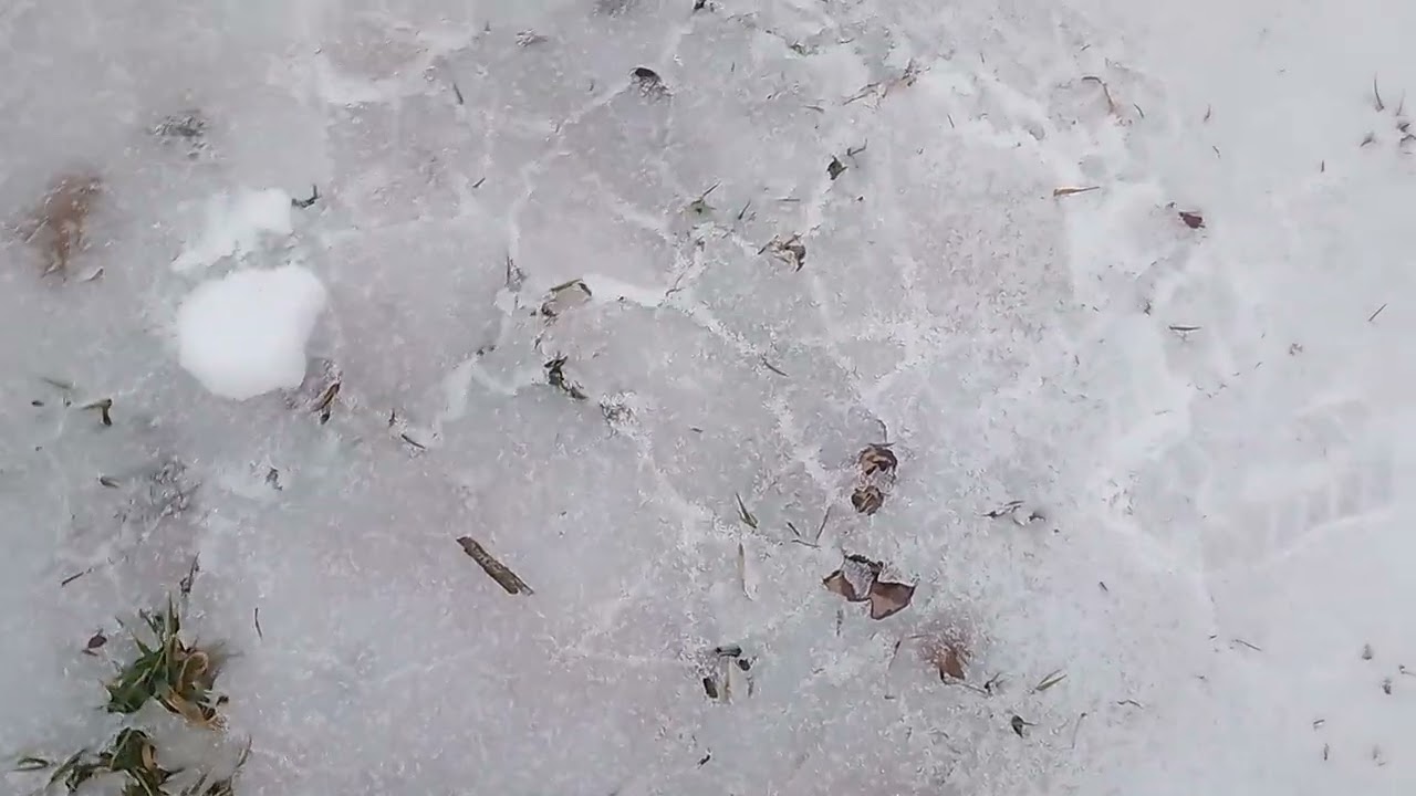 Risking My Life For Views (Not actually, YouTube don't restrict me)