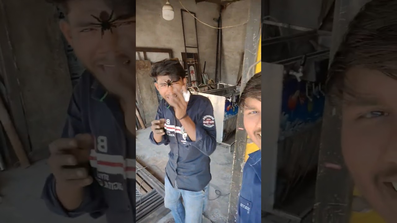 Spider Surprise | Ajay vlogs & More