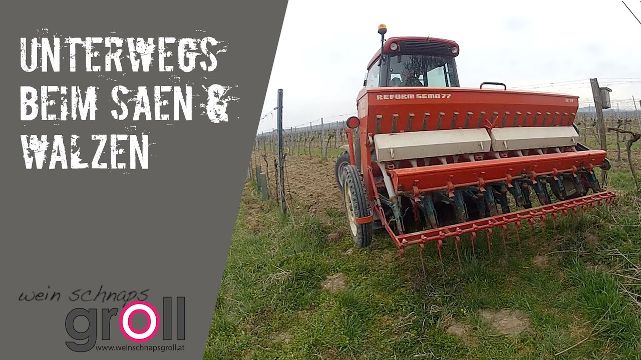POV - Weinbau - Unterwegs mit der Sämaschine und der Walze - Landini REX 90F