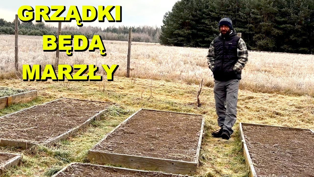 Nie ściółkuję grządek, czy to dobry pomysł?
