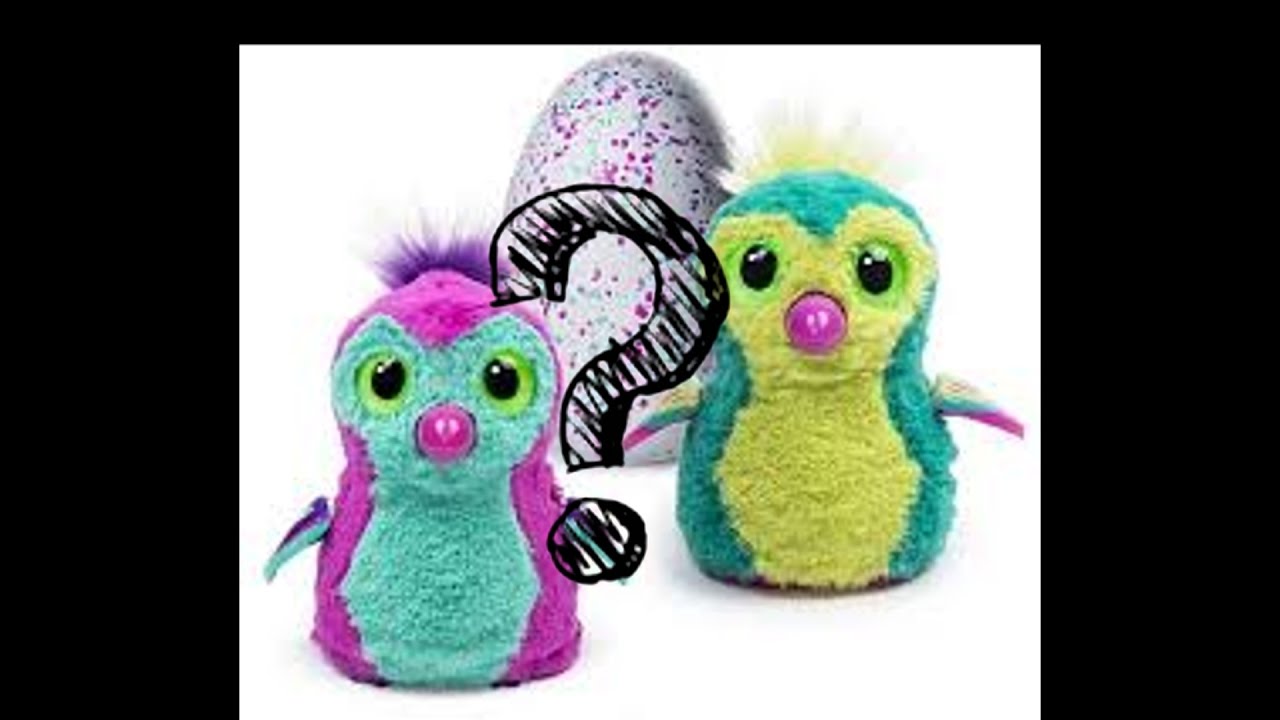 Hatchimals how-to
