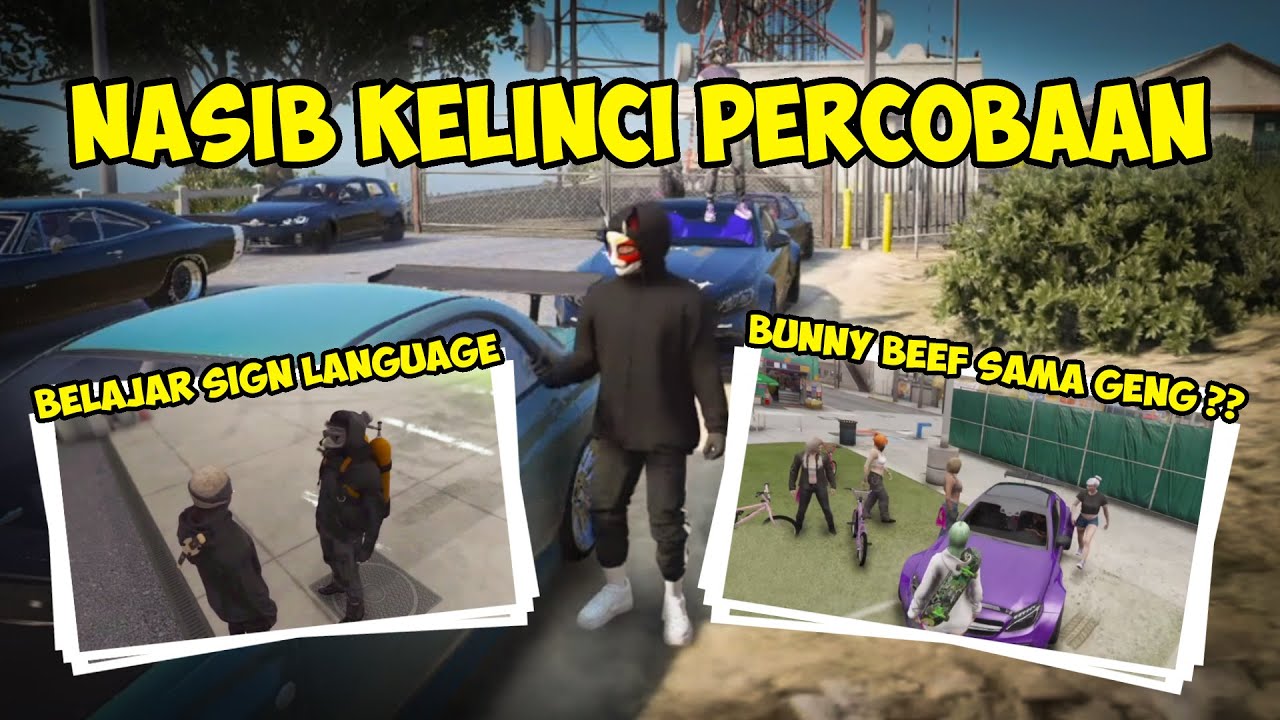 Namanya Juga Kelinci.. | GTA V Roleplay #executiverp #roadmen
