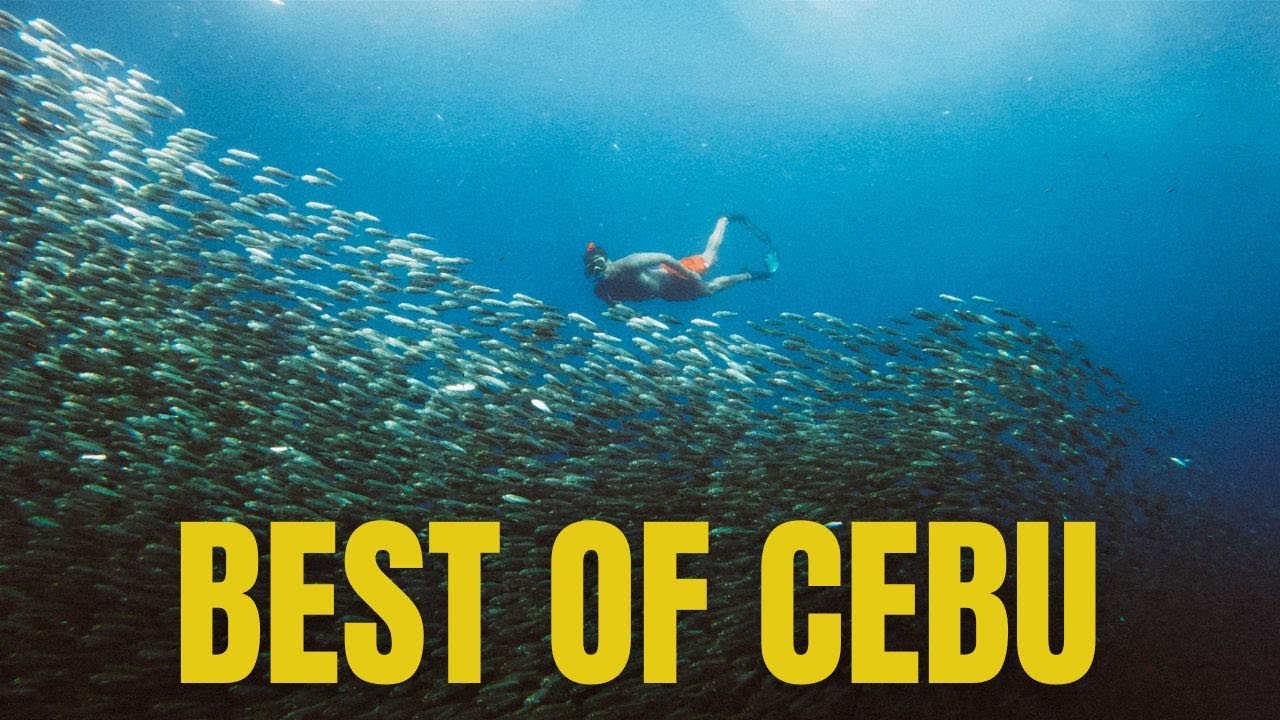 Best of CEBU Island - From Sardine run in Moalboal to Hills in the South - Philippines