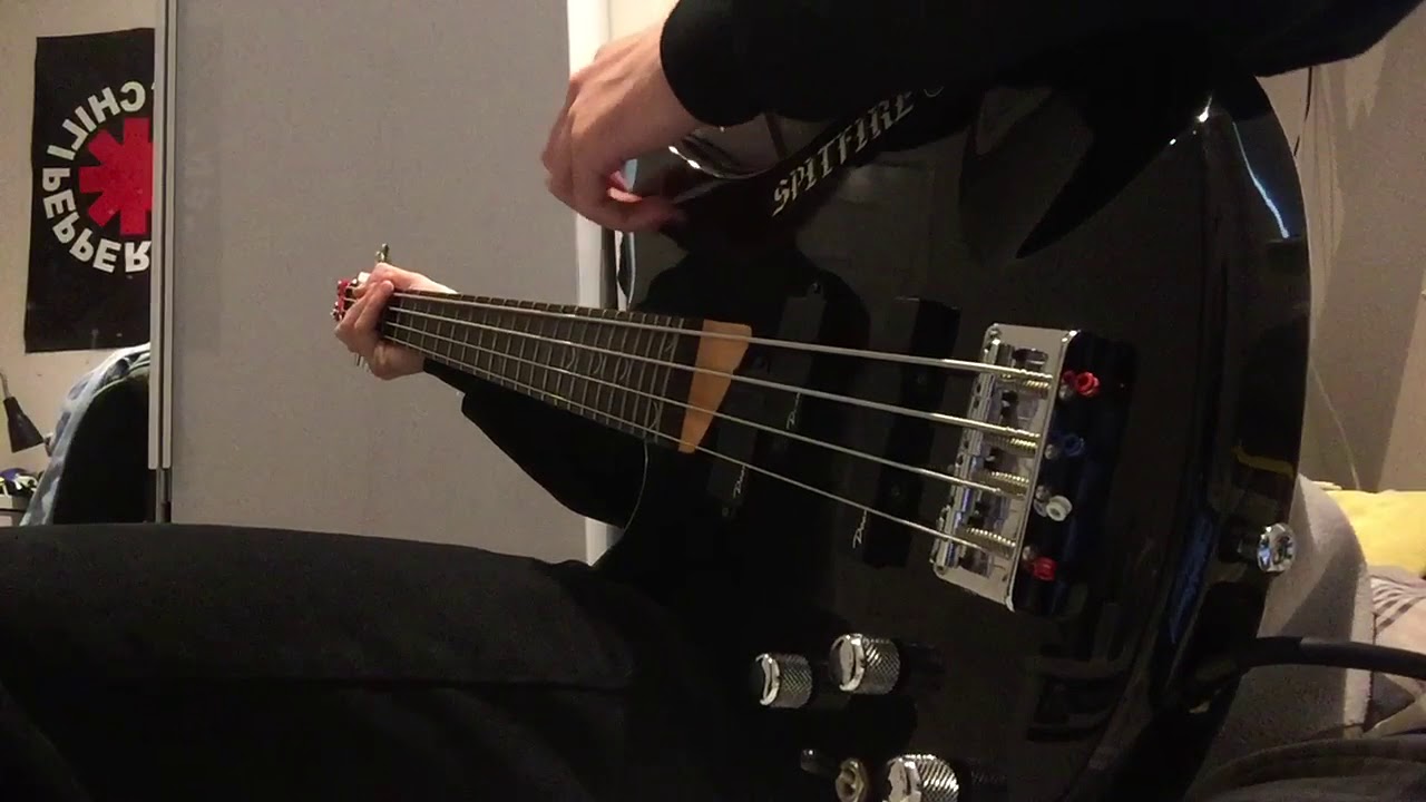 Crumb//Plants-BASS COVER