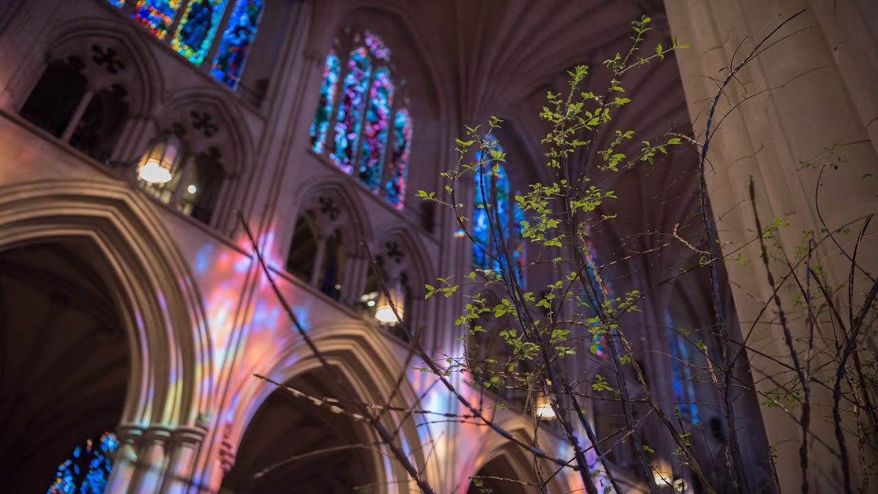 3.3.24 Washington National Cathedral Sunday Holy Eucharist – Worship Online